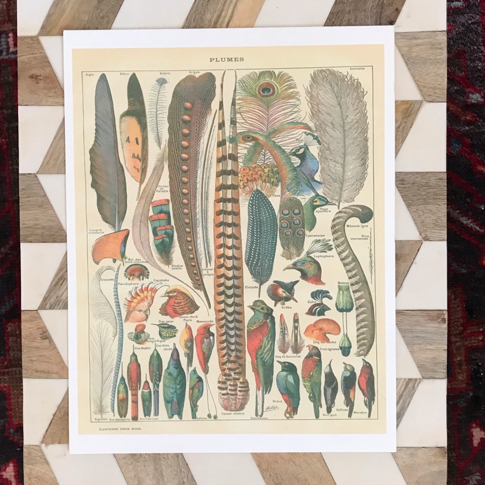 Art print